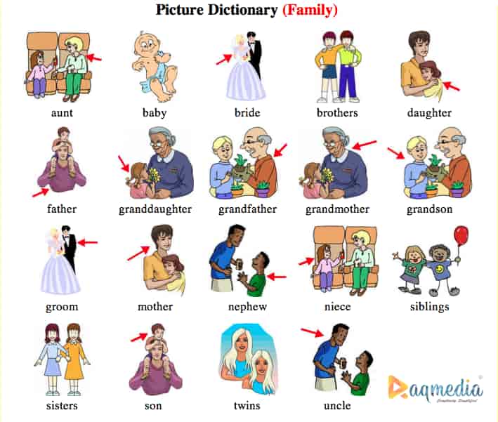 talking-about-your-family-in-pictionary-1
