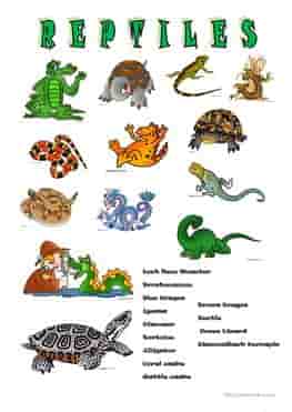 ESL-EFL-downloadable-printable-worksheets-practice-exercises-and-activities-to-teach-about-reptiles-picture-dictionaries