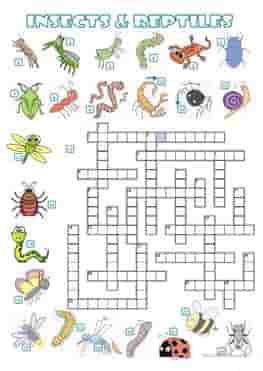 ESL-EFL-downloadable-printable-worksheets-practice-exercises-and-activities-to-teach-about-sea-animals-crossword-insects-and-reptiles