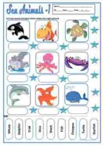 Sea Animals And Reptiles Names Vocabulary Worksheets • EnglEzz