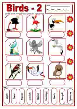 Birds Names Vocabulary, Worksheets and Crosswords 2 birds-2-activities-wordsearch-ESL-EFL-downloadable-printable-worksheets-practice-exercises-and-activities-to-teach-about-birds-picture-dictionaries