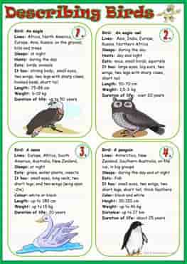 Birds Names Vocabulary, Worksheets and Crosswords 6 describing-birds_wordsearch-ESL-EFL-downloadable-printable-worksheets-practice-exercises-and-activities-to-teach-about-birds-picture-dictionaries