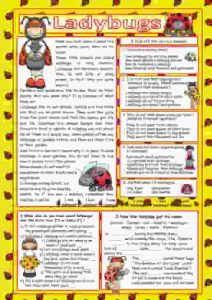 Birds Names Vocabulary, Worksheets and Crosswords 4 ladybugs-key-reading-comprehension-wordsearch_key-ESL-EFL-downloadable-printable-worksheets-practice-exercises-and-activities-to-teach-about-birds-picture-dictionaries