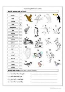 Birds Names Vocabulary, Worksheets And Crosswords • EnglEzz